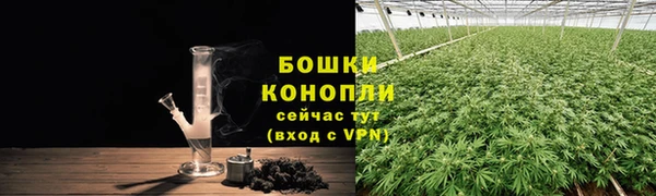 дмт Верея