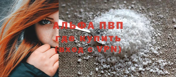 индика Бронницы