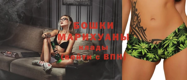 спайс Бородино