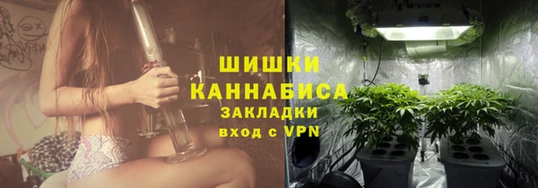 индика Бронницы