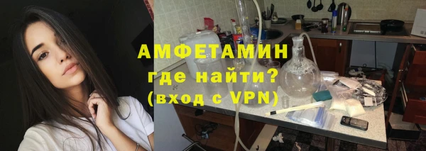 индика Бронницы