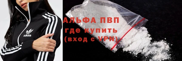 индика Бронницы