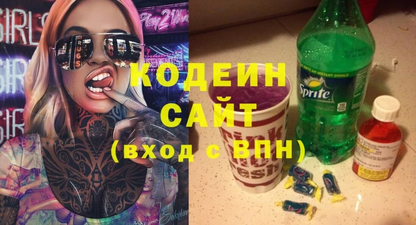 индика Бронницы