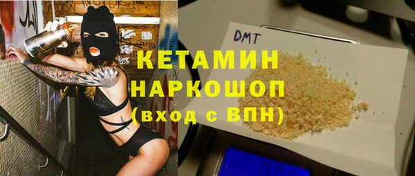 индика Бронницы