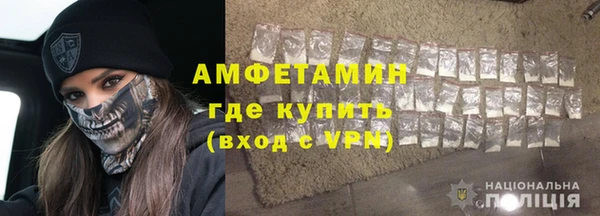 индика Бронницы