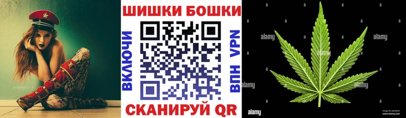 Каннабис OG Kush Семёнов